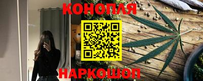 СК Шелехов