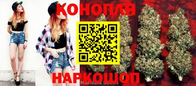 СК Шелехов