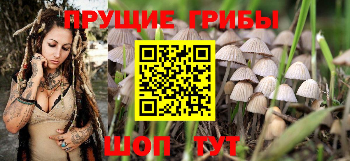 Псилоцибиновые грибы Magic Shrooms Ачхой-Мартан