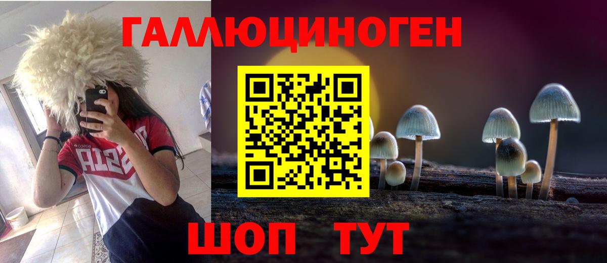 Псилоцибиновые грибы MAGIC MUSHROOMS  Галлюциногенные грибы Cubensis  купить   Вход с VPN  Ачхой-Мартан 